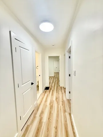 $3,800 | 65-67 Allston Street, Unit 1, Cambridge, MA 02139