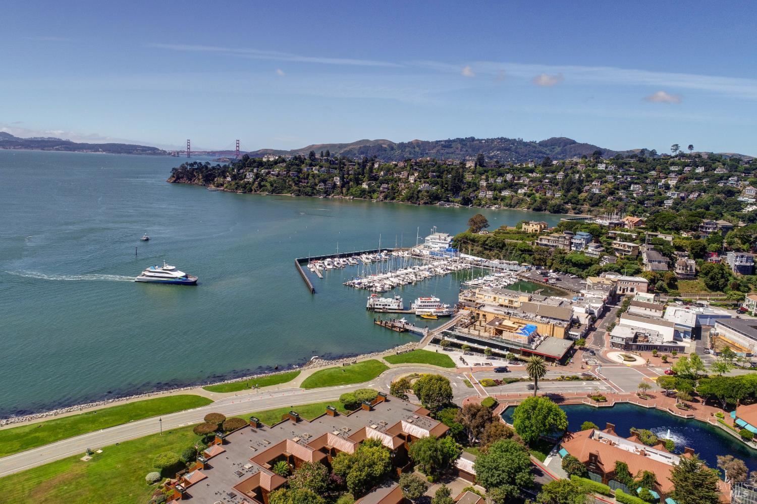 45 Mt Tiburon Road Tiburon, CA 94920 - Photo 55 of 57