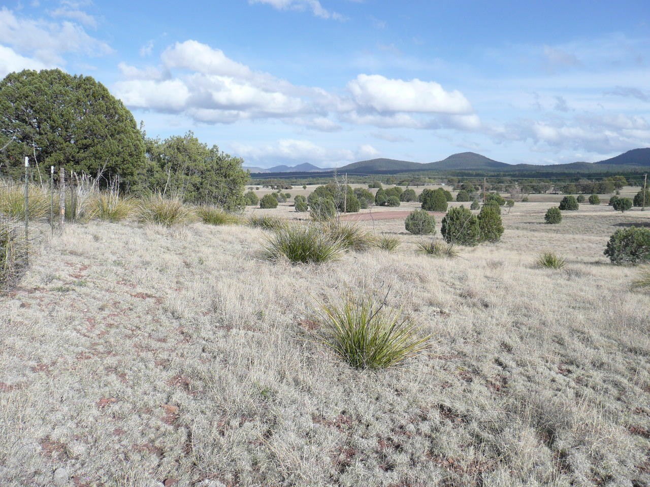 478 Rolling Hills Road Young, AZ 85554 - Photo 8 of 20