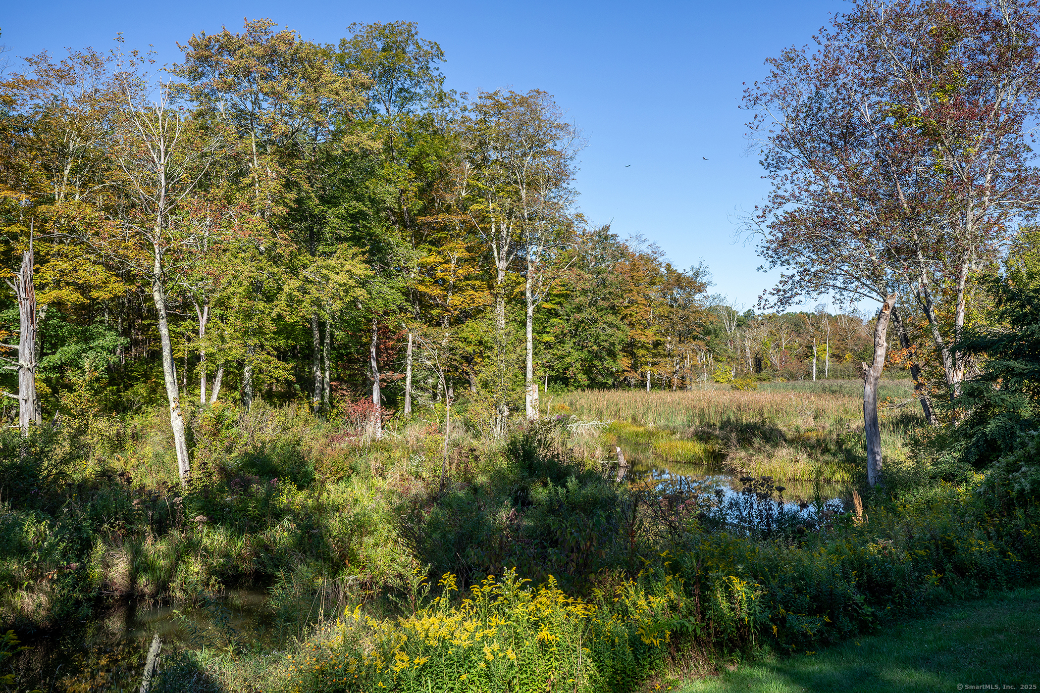 62 Brush Hill Road Litchfield, CT 06759 - Photo 11 of 23 a view of a garden with plants and large trees