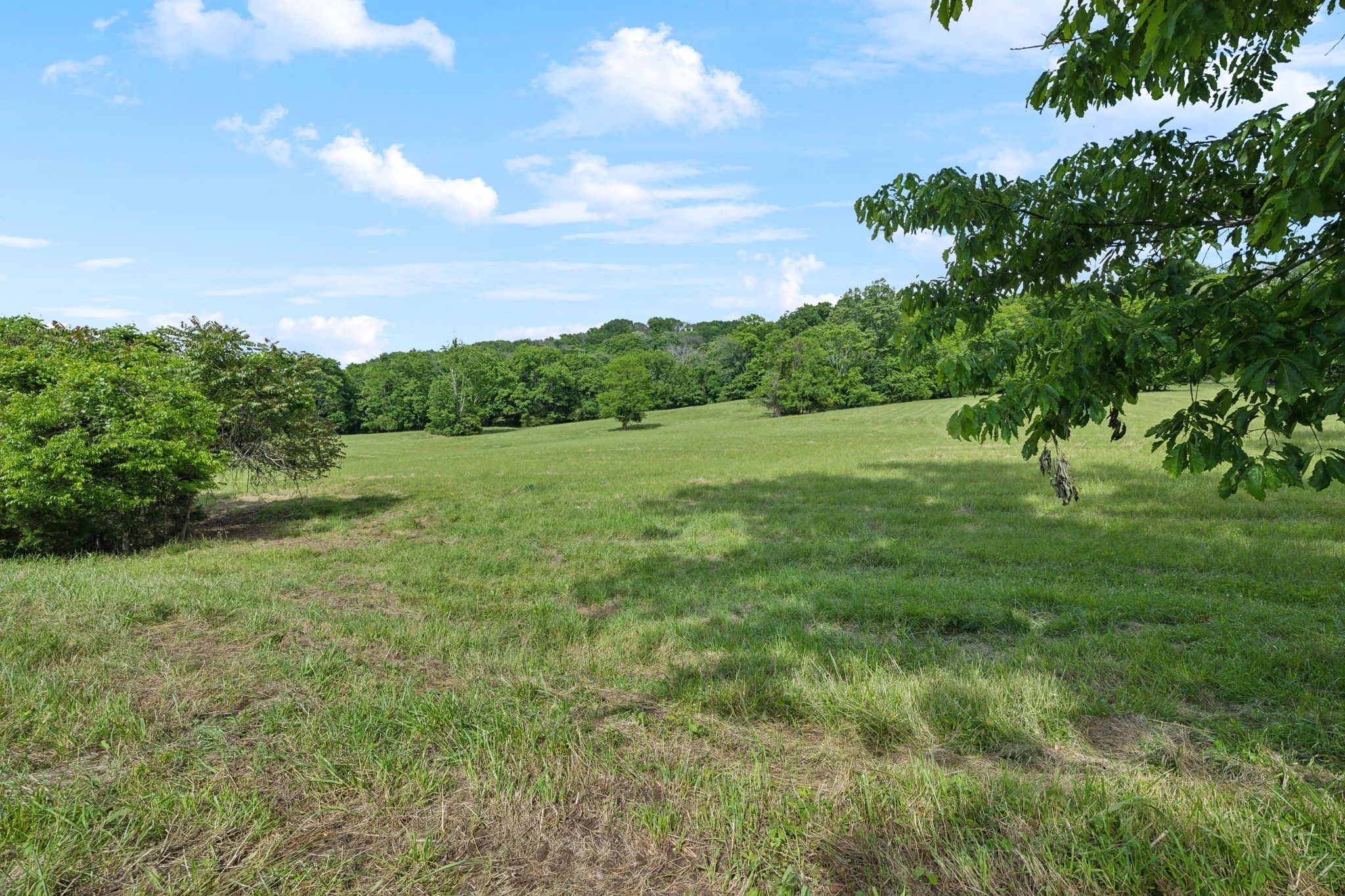0 Arno Road College Grove, TN 37046 - Photo 17 of 25 a view of grassy field with trees