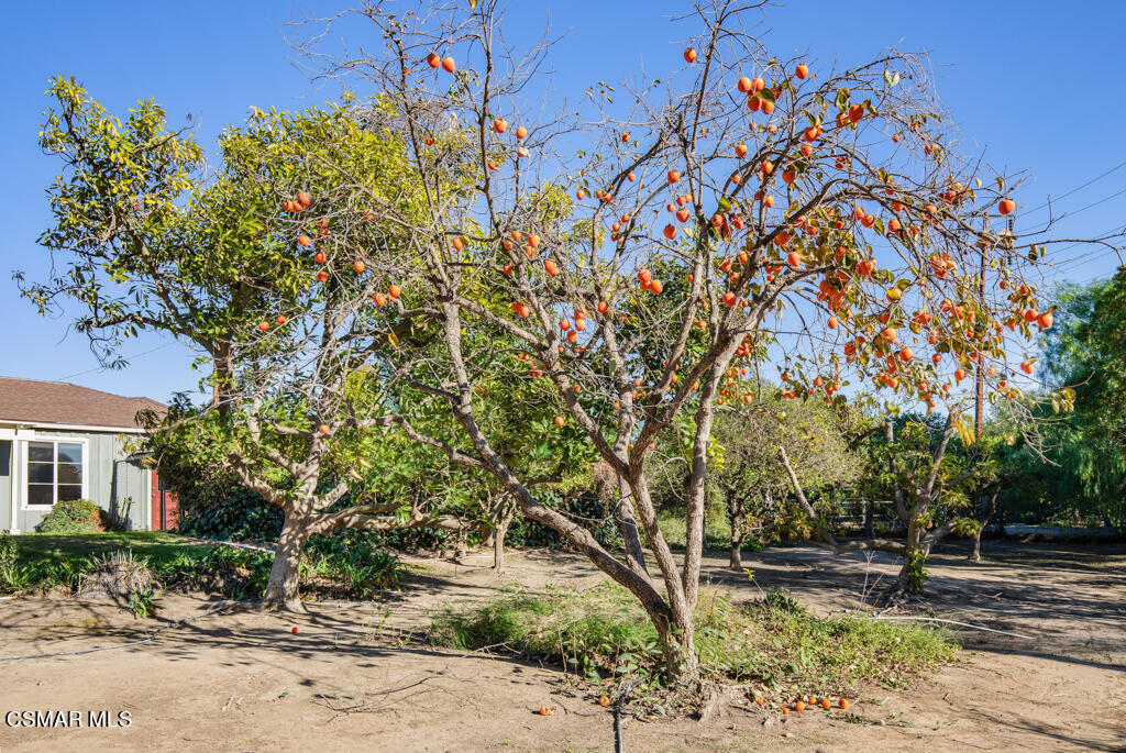 6170 Old Balcom Canyon Road Somis, CA 93066 - Photo 43 of 55 6170 Old Balcom Canyon Road - HsHProd-