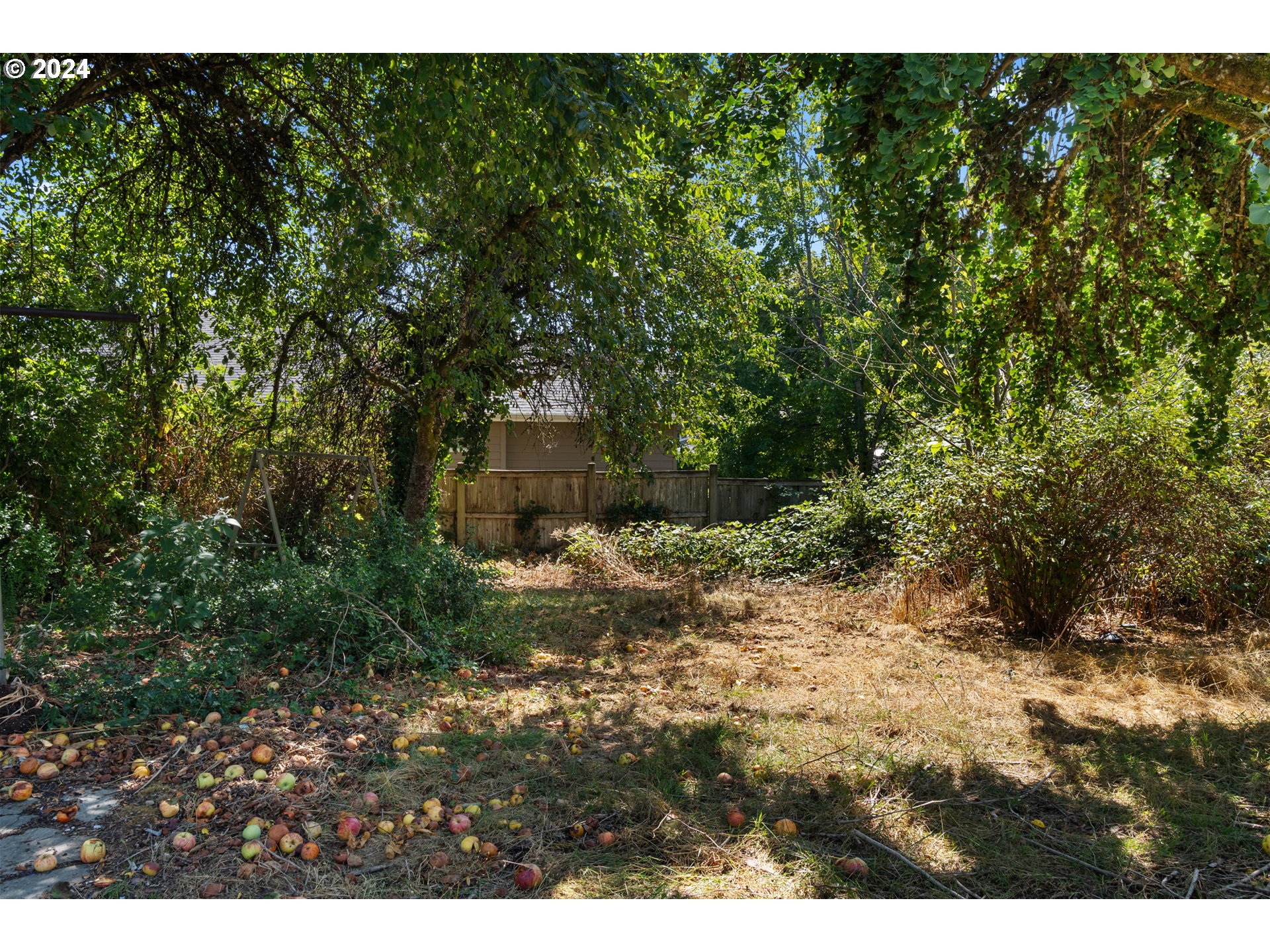 1042 Cal Young Road Eugene, OR 97401 - Photo 38 of 44 Gallery Image 38