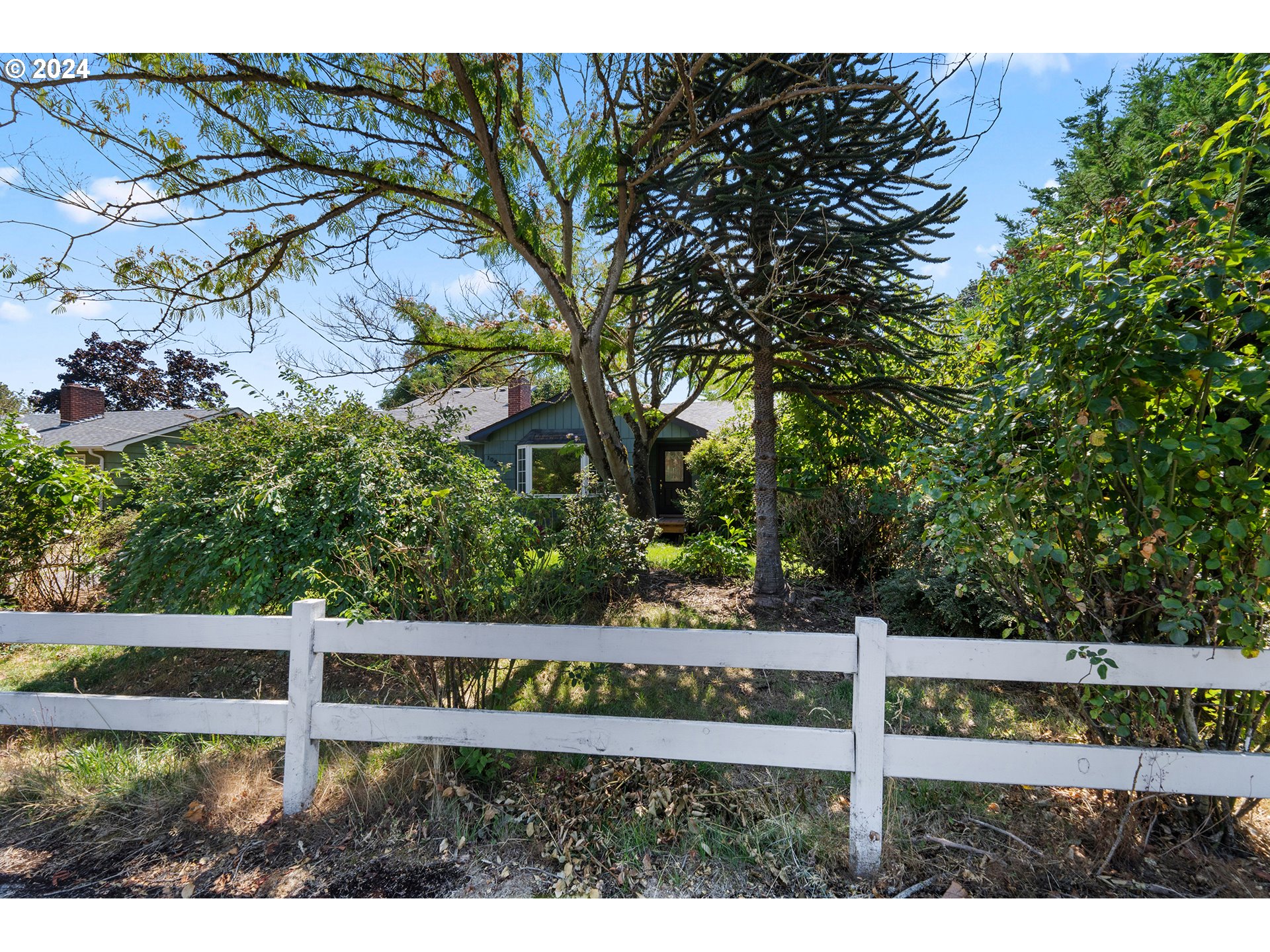 1042 Cal Young Road Eugene, OR 97401 - Photo 43 of 44 Gallery Image 43