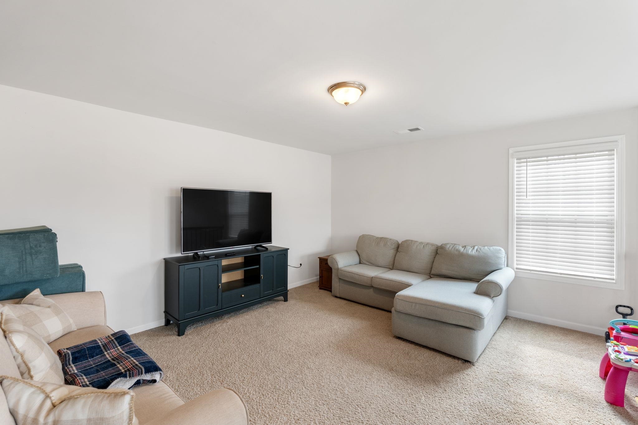 809 Jadeite Way Duncan, SC 29334 - Photo 26 of 37