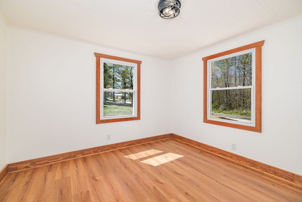 88 Branch Road Brodnax, VA 23920 - Photo 19 of 38 Gallery Image 19