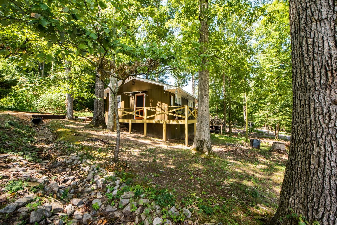 854 Lost Creek Boat Road Decaturville, TN 38329 - Photo 3 of 24 Photo 3