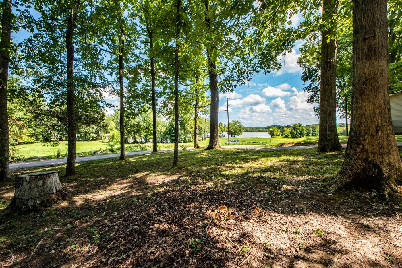 854 Lost Creek Boat Road Decaturville, TN 38329 - Photo 7 of 24 Photo 7