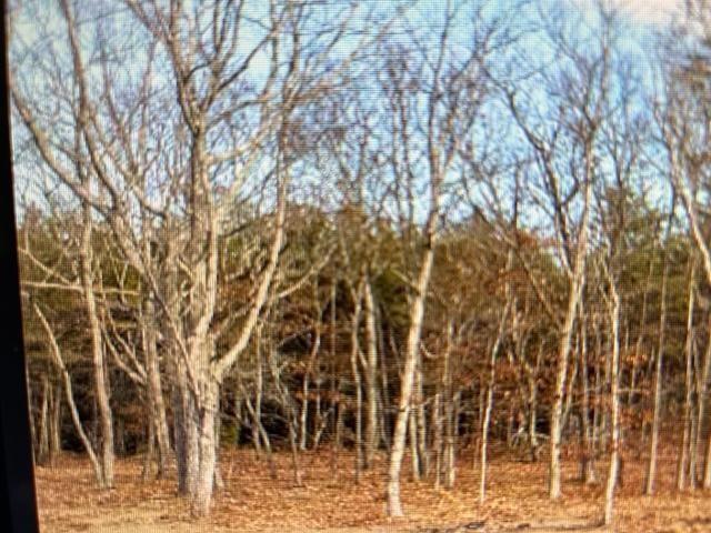 49 Challenger Way Menlo, GA 30731 - Photo 9 of 13