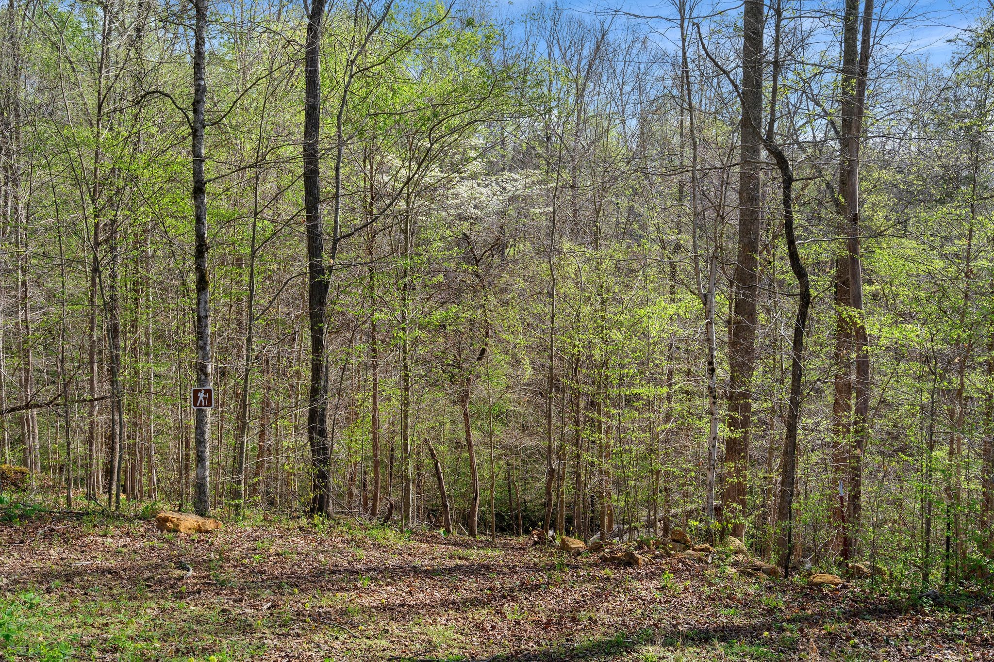 8012 Poplar Ridge Lane Primm Springs, TN 38476 - Photo 84 of 100 Gallery Image 84