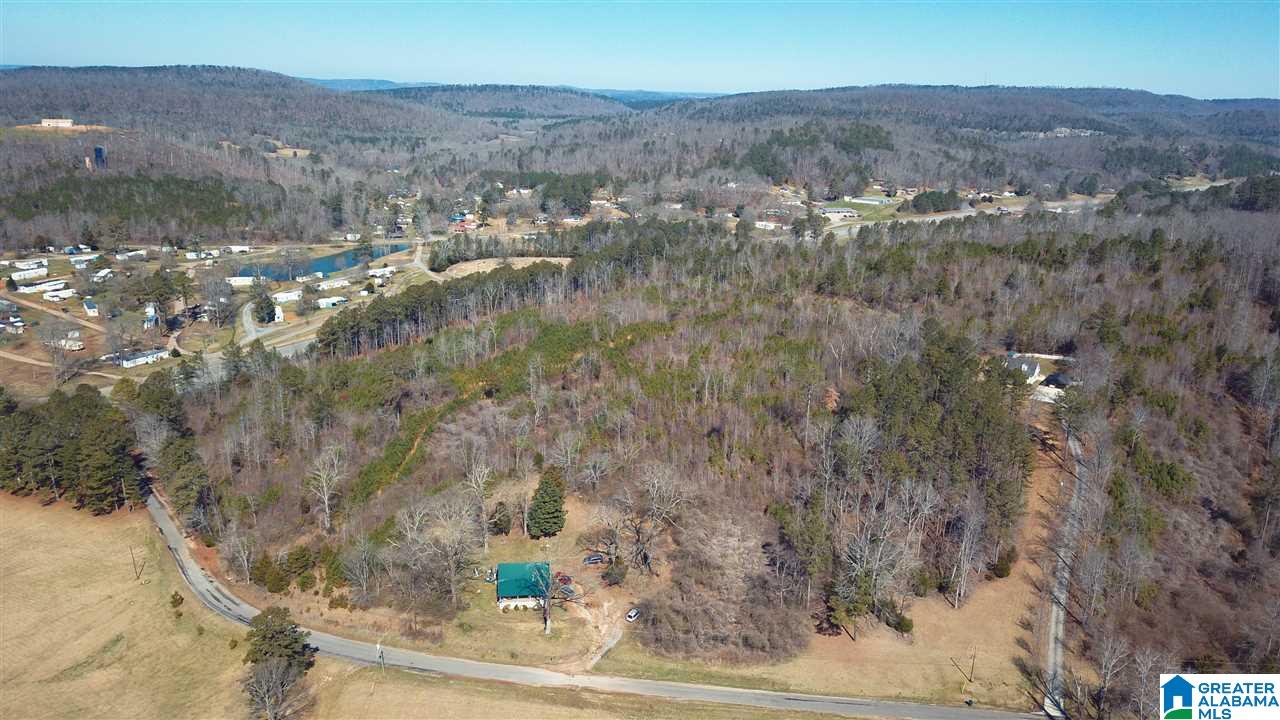 0 Highway 75, Unit 29 38 Oneonta, AL 35121 - Photo 12 of 30