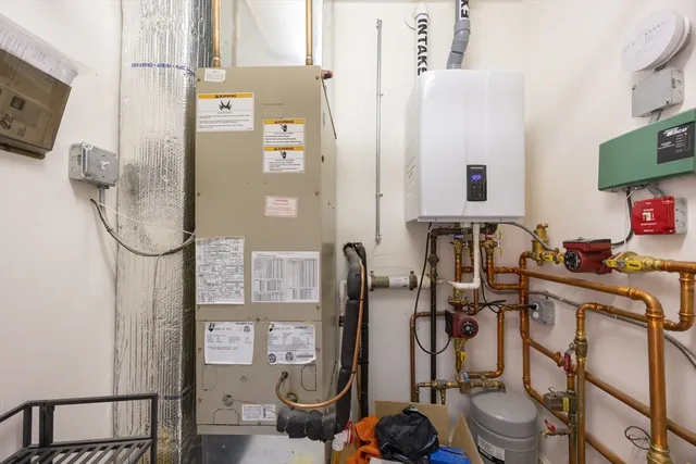 a view of backyard with large trees