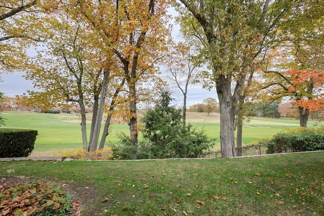 a view of a lake with houses in back