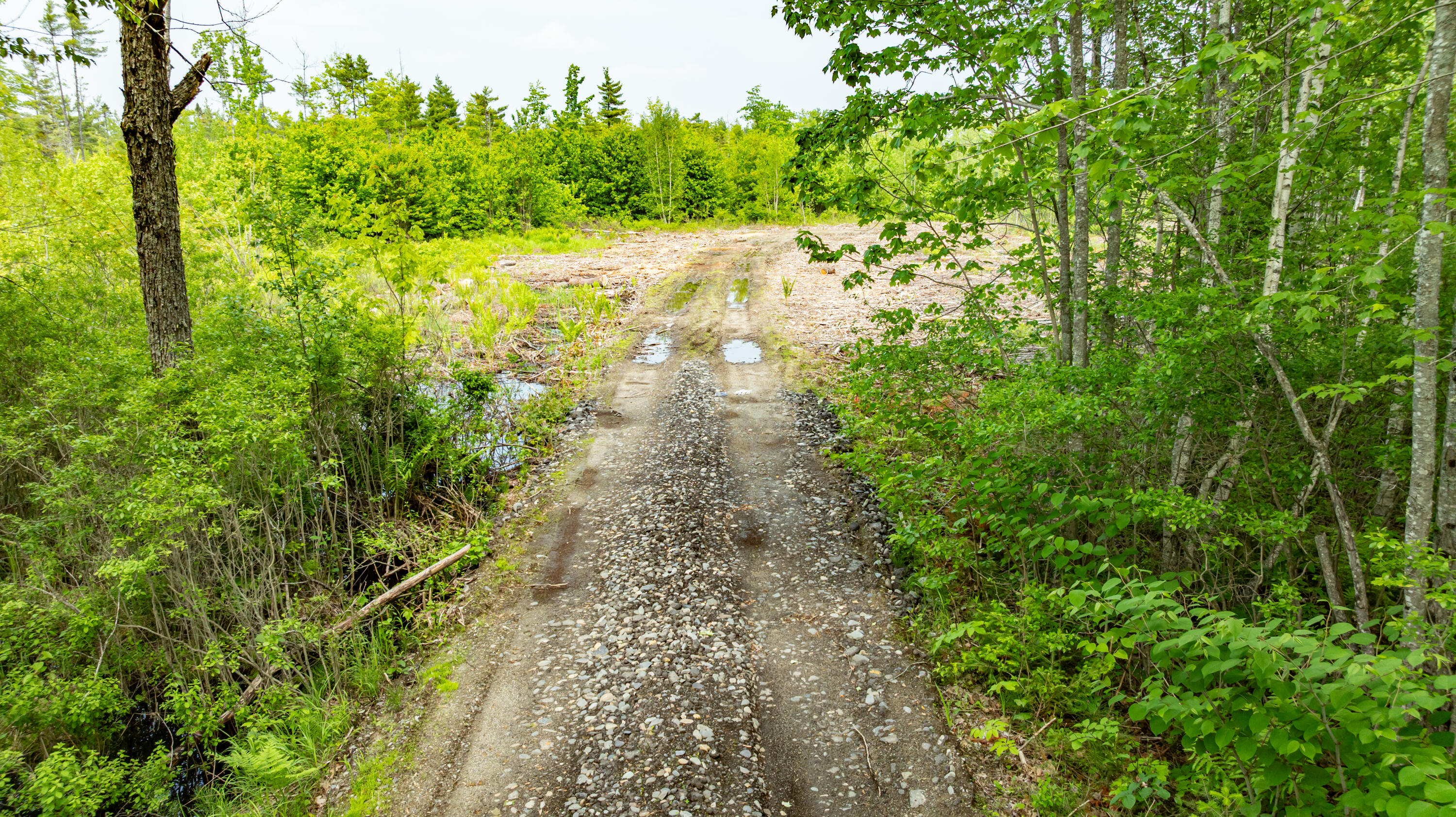 1-14-12 Main Road Greenbush, ME 04418 - Photo 2 of 16 DJI_0621