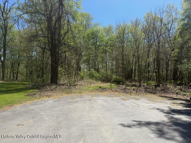 18 Stilba Lane Stone Ridge, NY 12484 - Photo 1 of 11 front