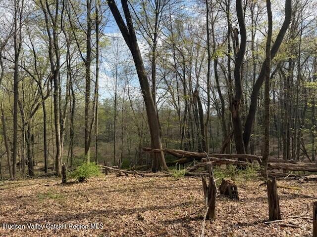 18 Stilba Lane Stone Ridge, NY 12484 - Photo 2 of 11 18 Stilba