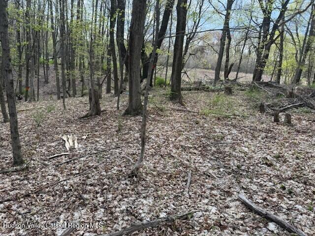 18 Stilba Lane Stone Ridge, NY 12484 - Photo 3 of 11 18 Stilba