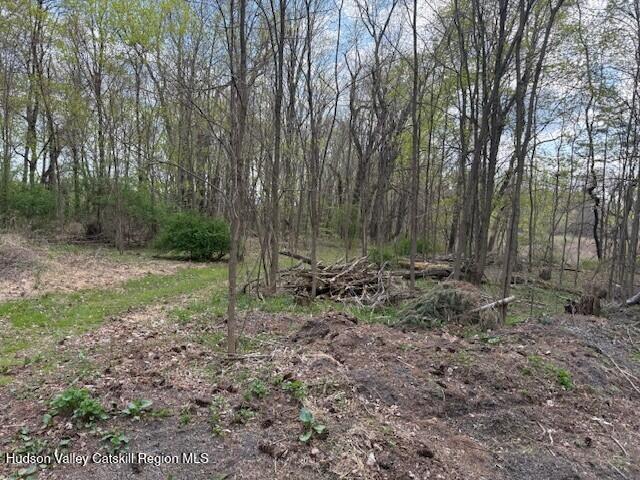 18 Stilba Lane Stone Ridge, NY 12484 - Photo 5 of 11 18 Stilba