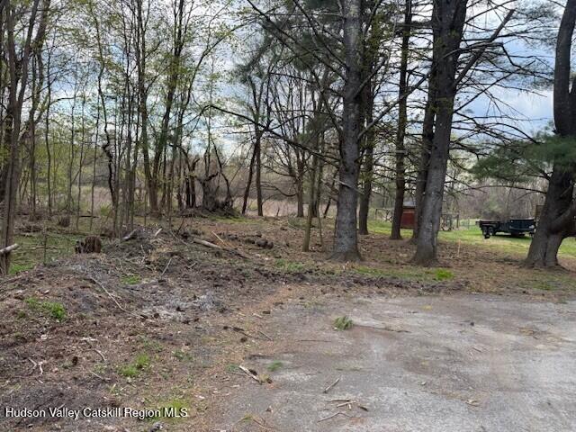 18 Stilba Lane Stone Ridge, NY 12484 - Photo 6 of 11 18 stilba