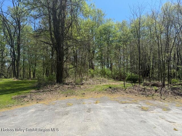 18 Stilba Lane Stone Ridge, NY 12484 - Photo 7 of 11 IMG_0562