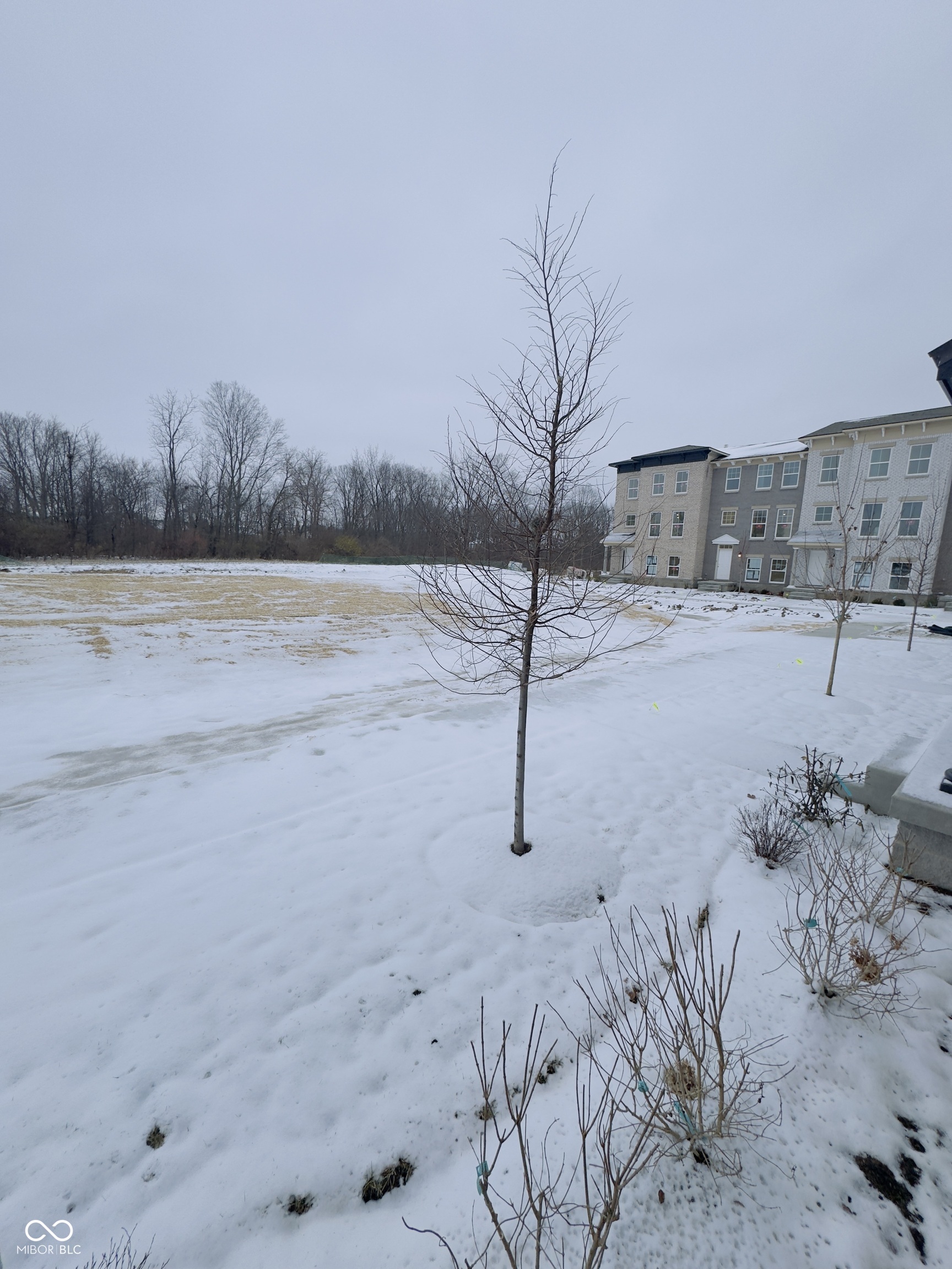 4906 Gilet Drive Noblesville, IN 46062 - Photo 9 of 23