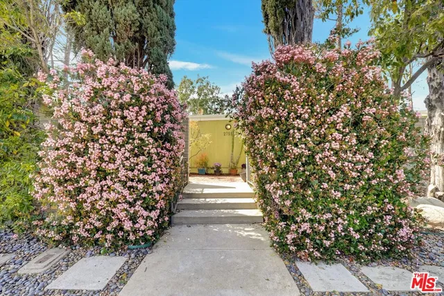 a view of a pathway of the side of the house