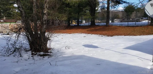 a view of a backyard with large trees