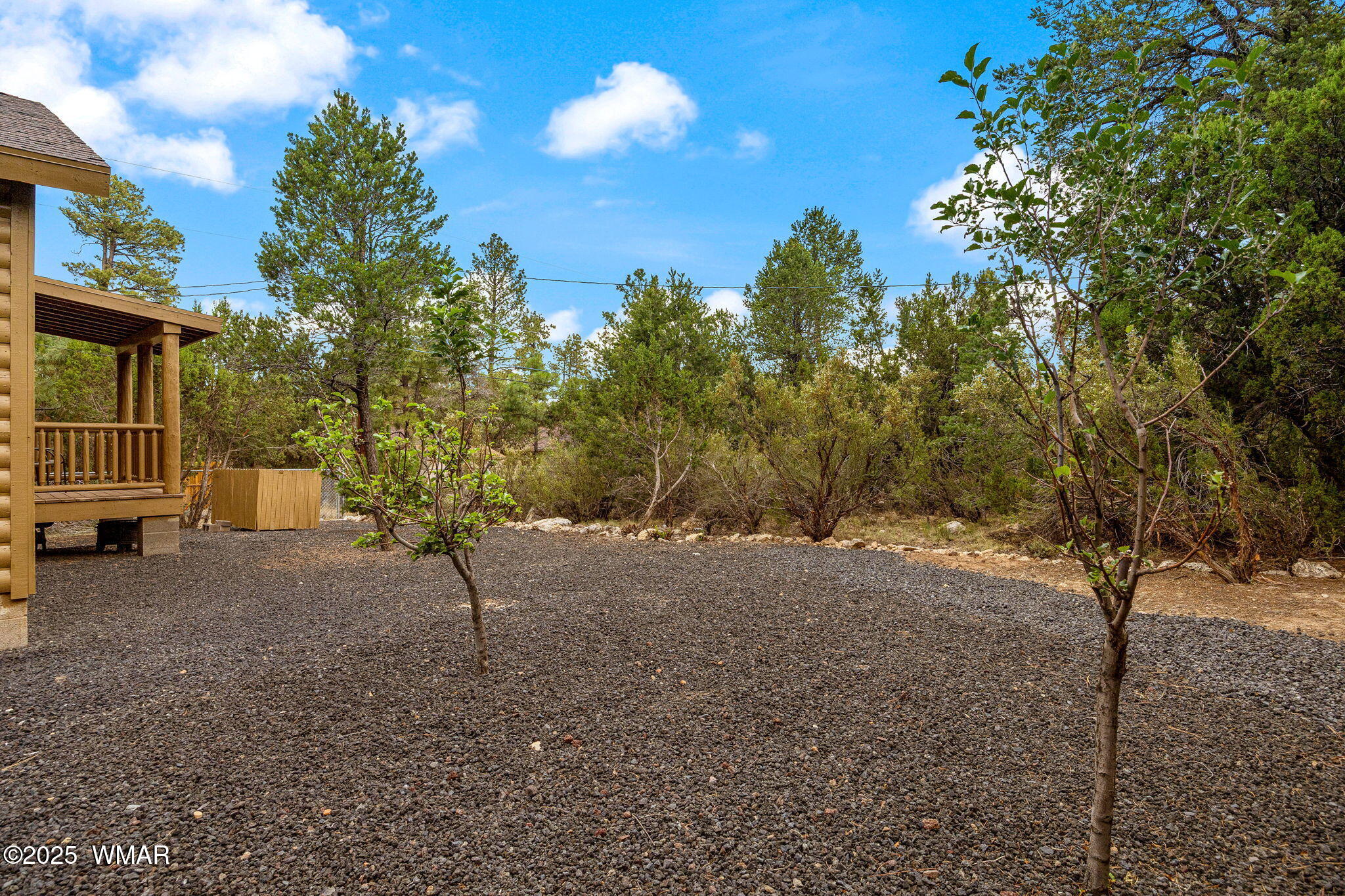 3142 Ranch Road Overgaard, AZ 85933 - Photo 28 of 35 a view of a yard with a tree