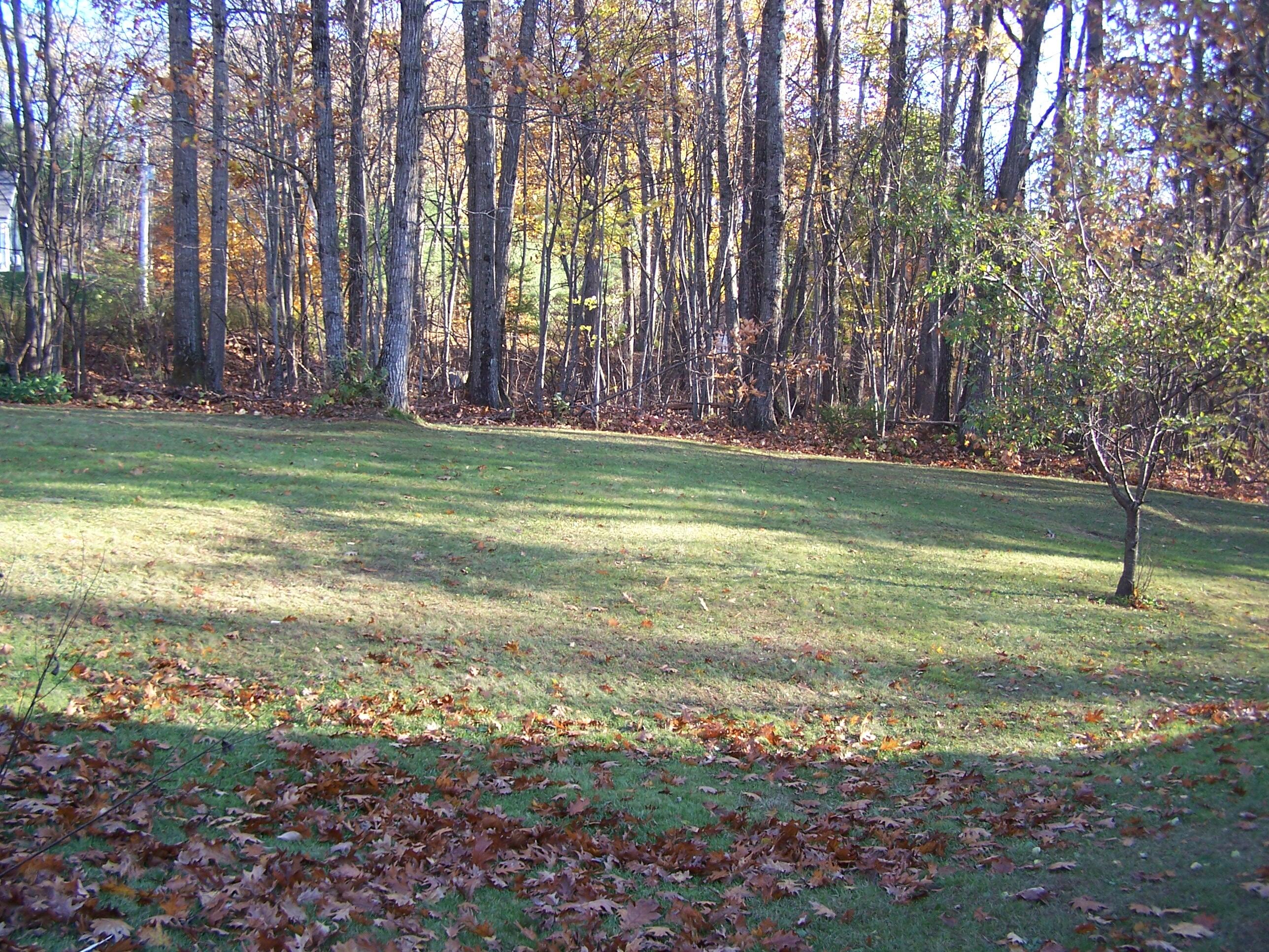 175 Kennebec Trail Turner, ME 04282 - Photo 38 of 61 103_9519