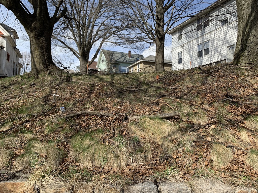 573 Grafton Street Worcester, MA 01604 - Photo 2 of 2 a backyard of a house with large trees