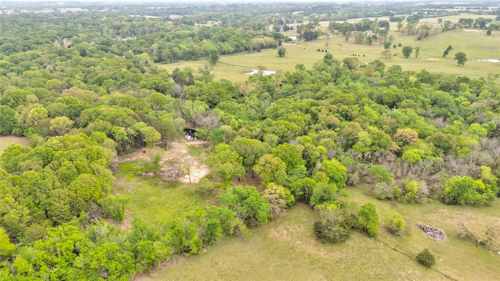 1411 Vz County Road 2139 Wills Point, TX 75169 - Photo 5 of 38