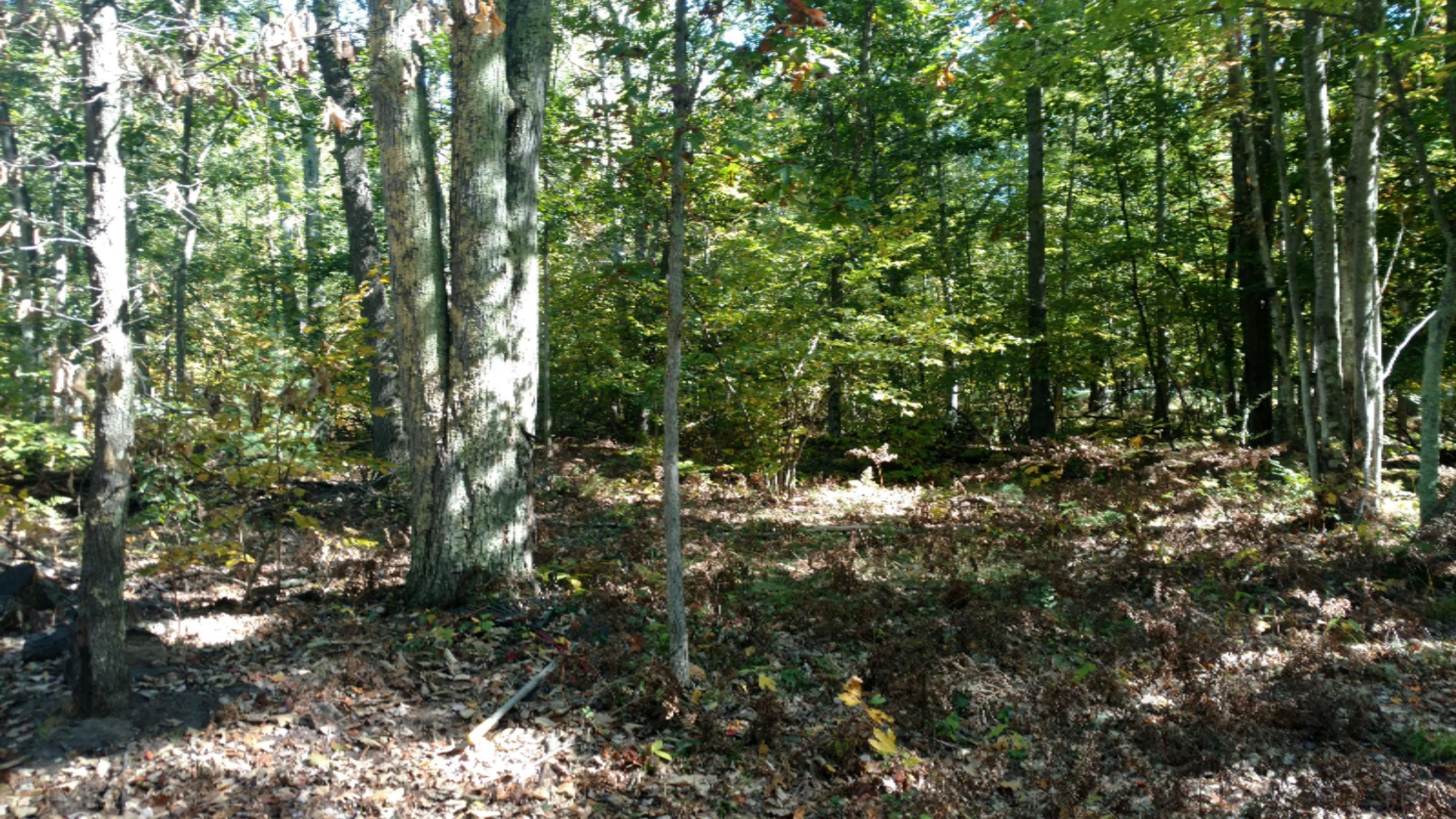0 East Hawley Road Custer, MI 49405 - Photo 3 of 18 IMG_20161010_133459798