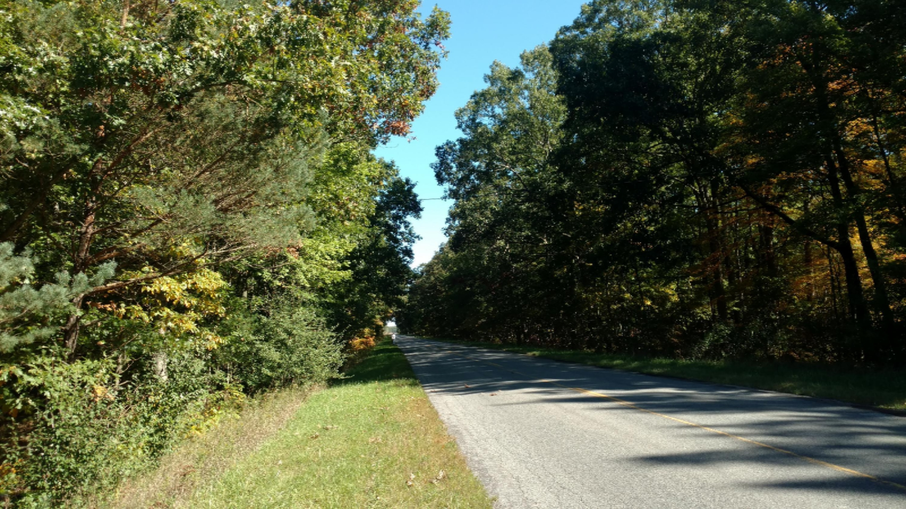 0 East Hawley Road Custer, MI 49405 - Photo 10 of 18 IMG_20161010_135250945