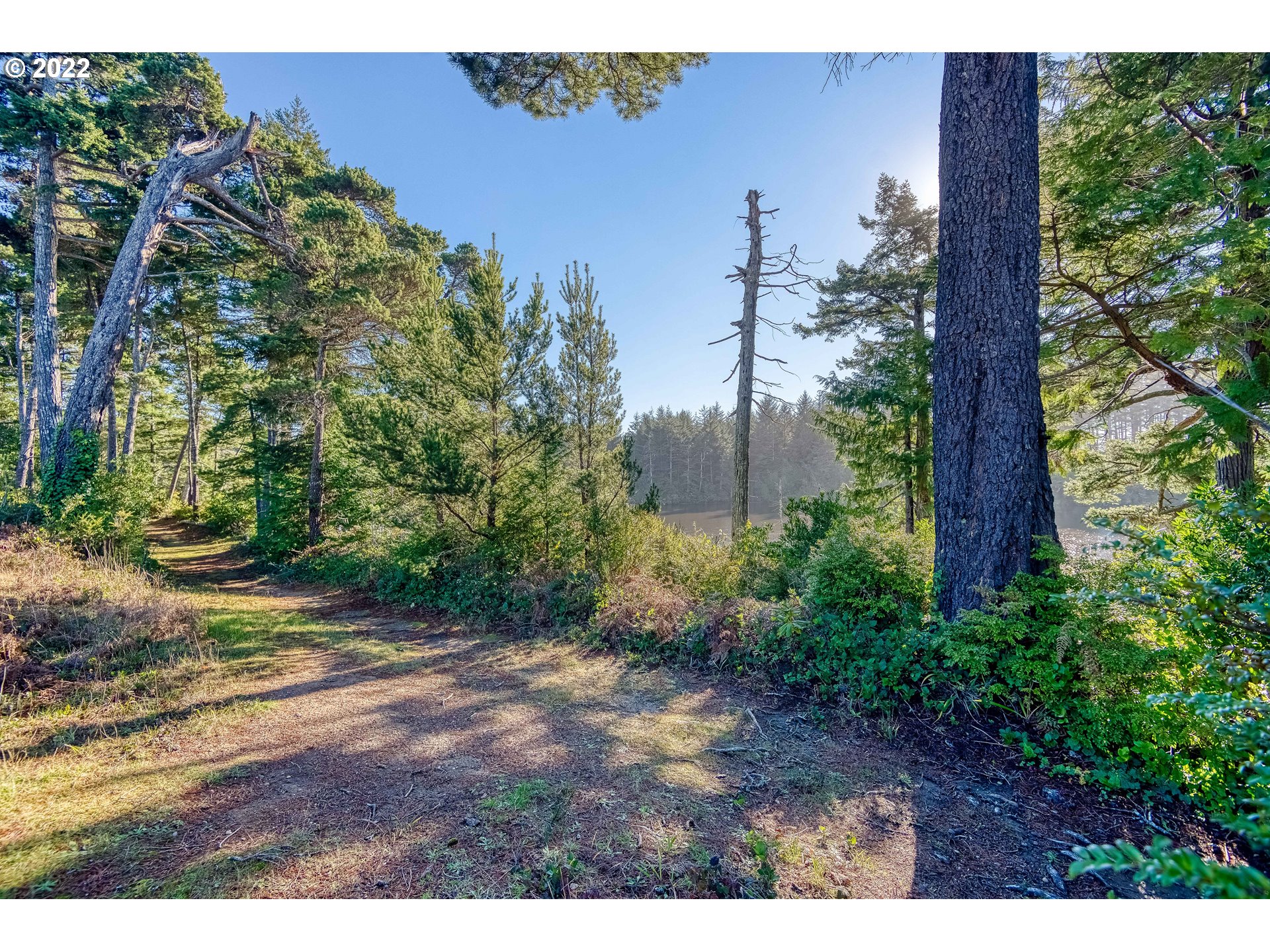 0 Safe Road Bandon, OR 97411 - Photo 14 of 20 Community Amenities