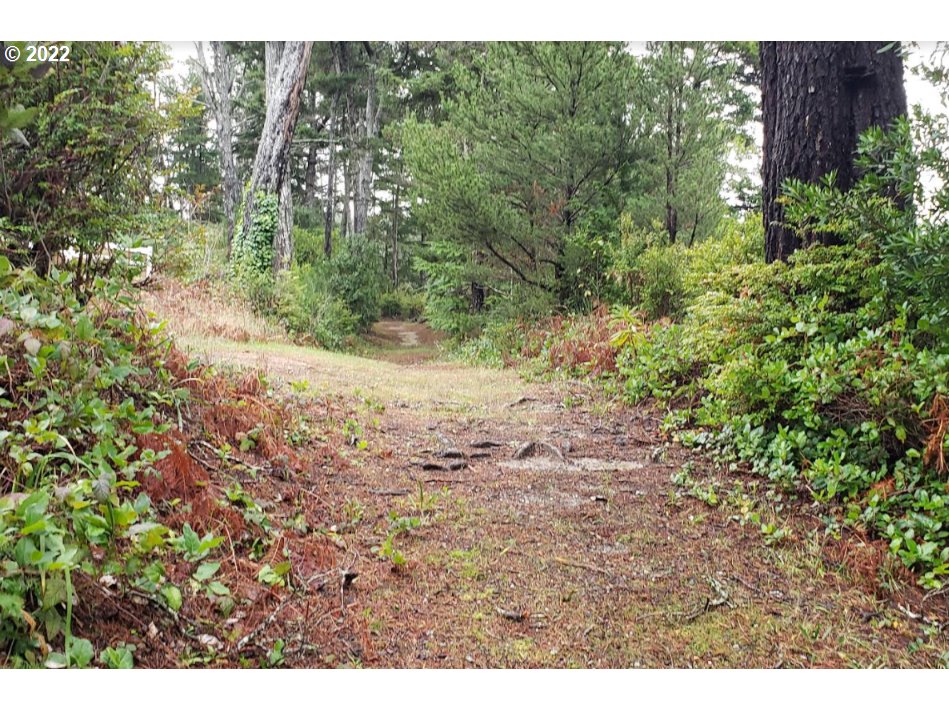0 Safe Road Bandon, OR 97411 - Photo 15 of 20 Community Amenities