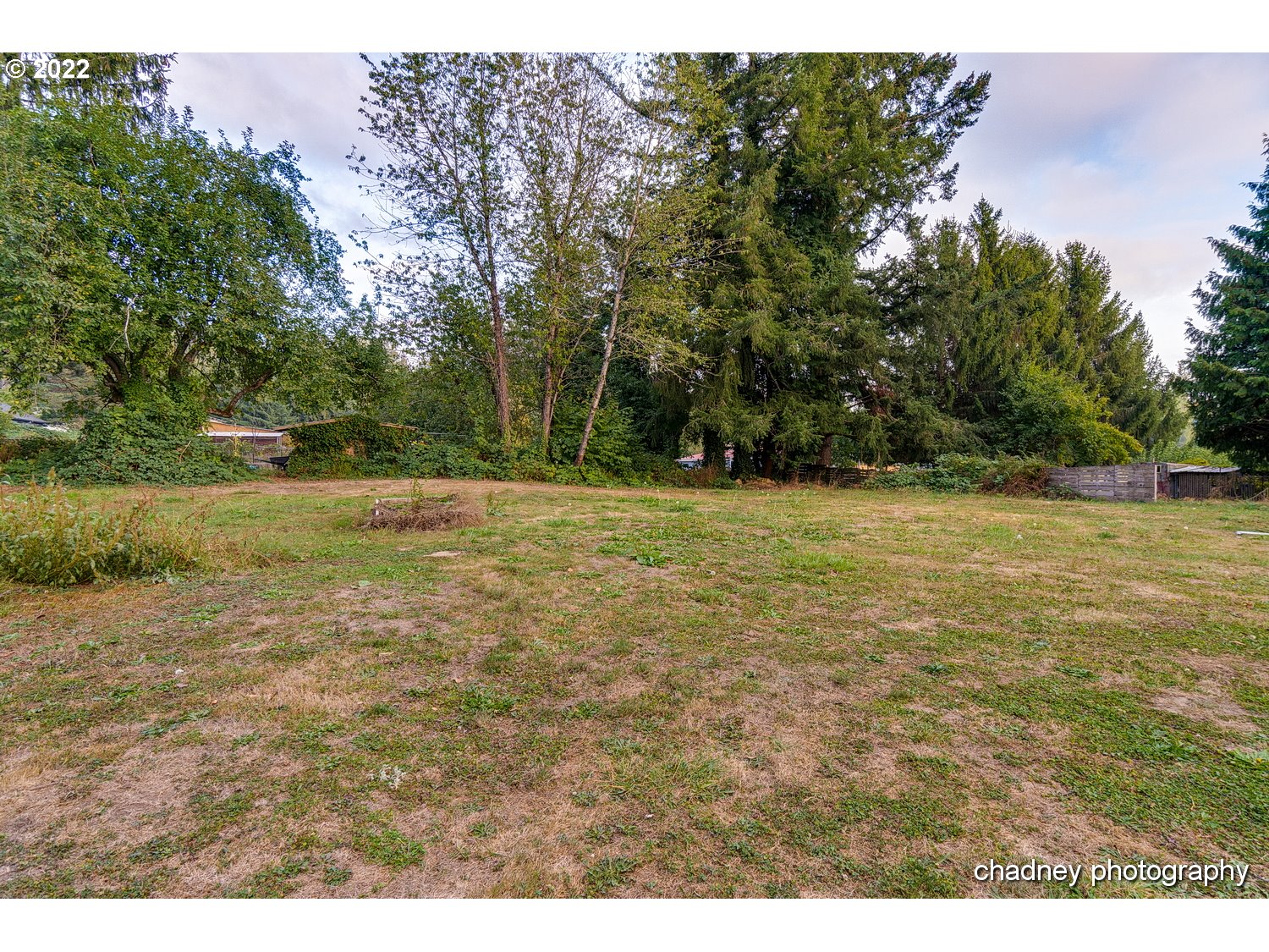 606 Southeast Northway Road Corbett, OR 97019 - Photo 31 of 32 a view of a field with trees in the background