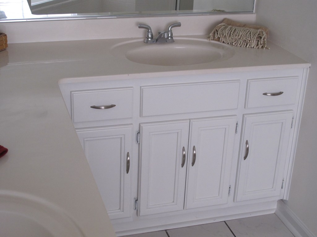 550 Blue Ridge Crossing Evans, GA 30809 - Photo 24 of 41 Owners Bath