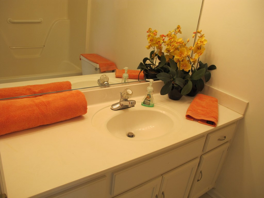 550 Blue Ridge Crossing Evans, GA 30809 - Photo 29 of 41 Full Bath 2