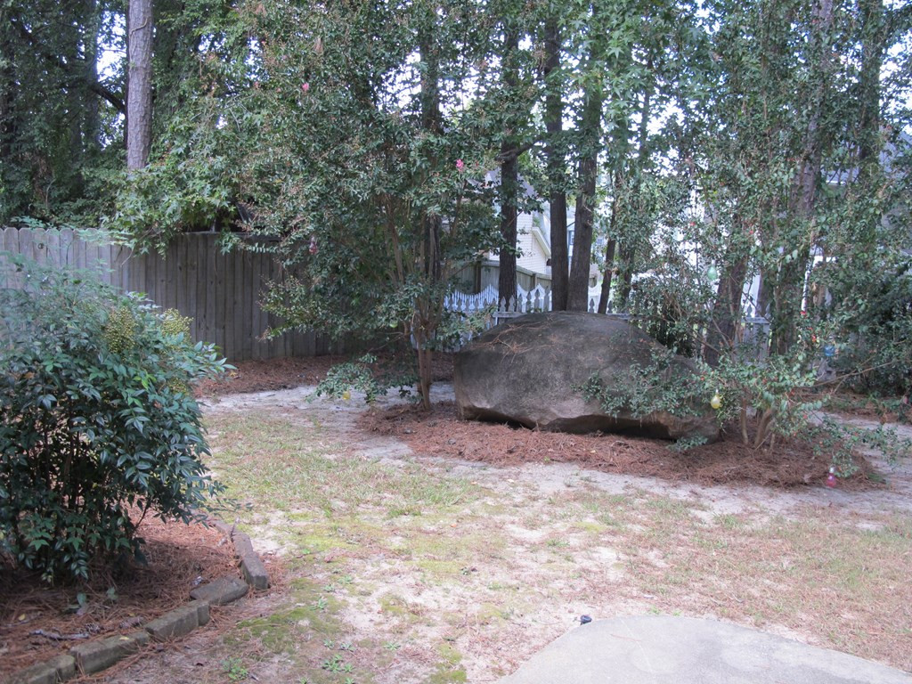 550 Blue Ridge Crossing Evans, GA 30809 - Photo 36 of 41 Back Yard