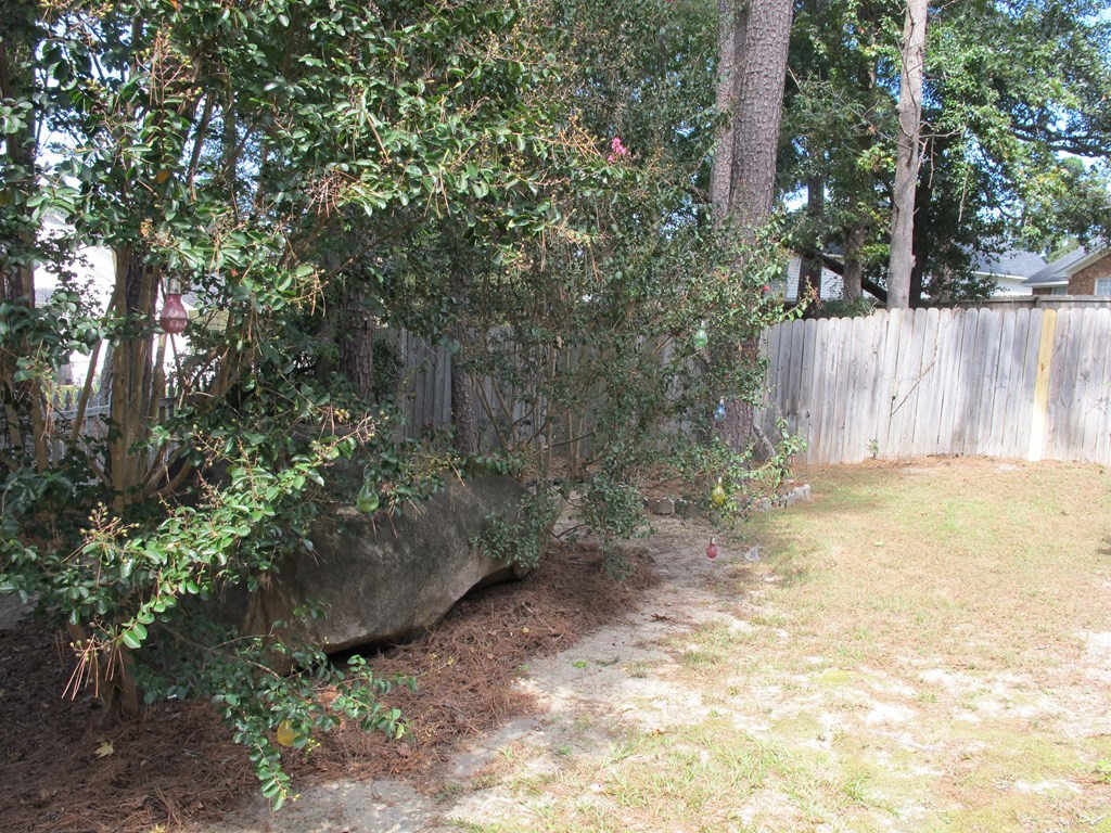550 Blue Ridge Crossing Evans, GA 30809 - Photo 41 of 41 Back Yard