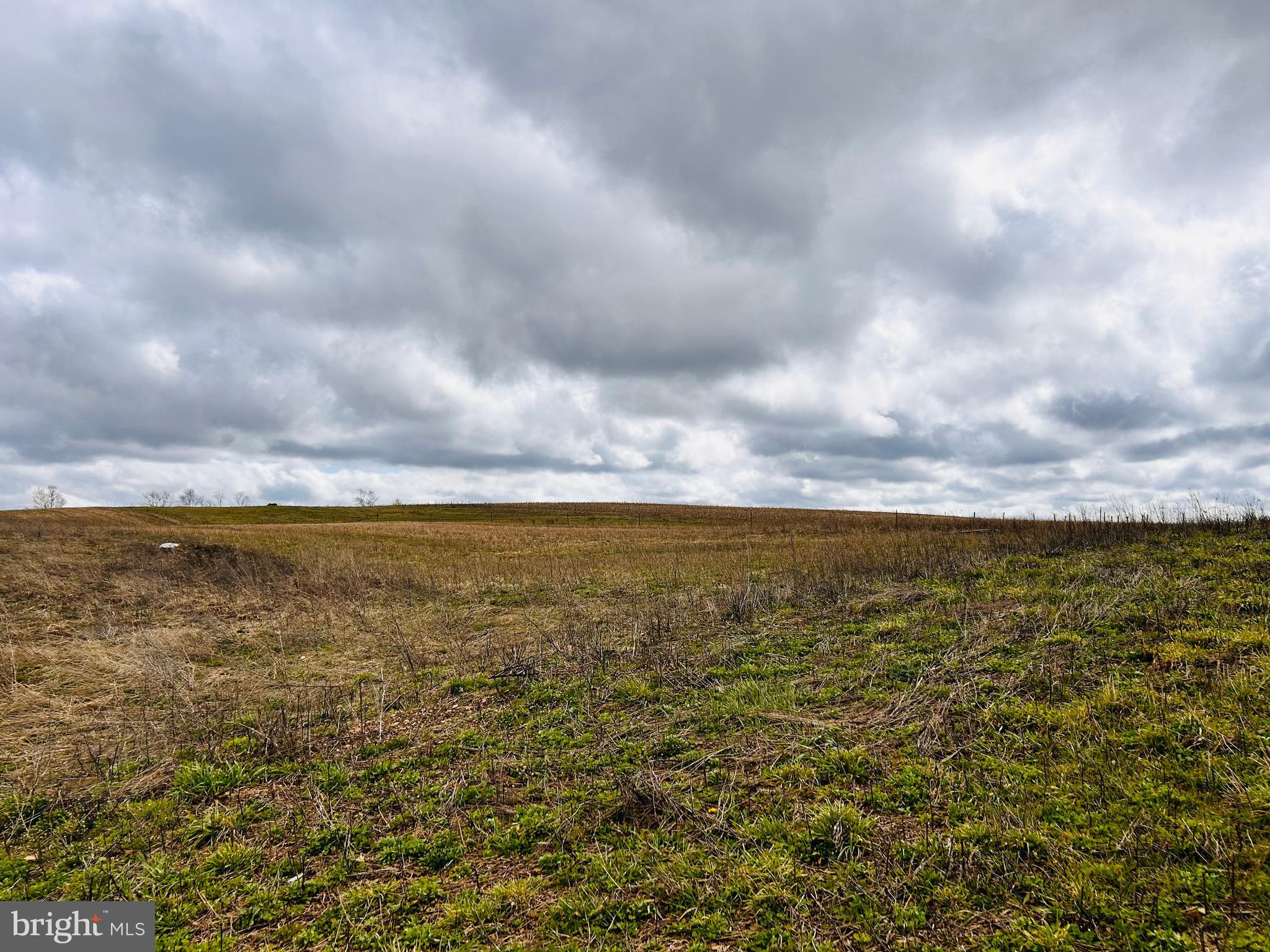 2192 Richard Road Irvona, PA 16656 - Photo 4 of 31