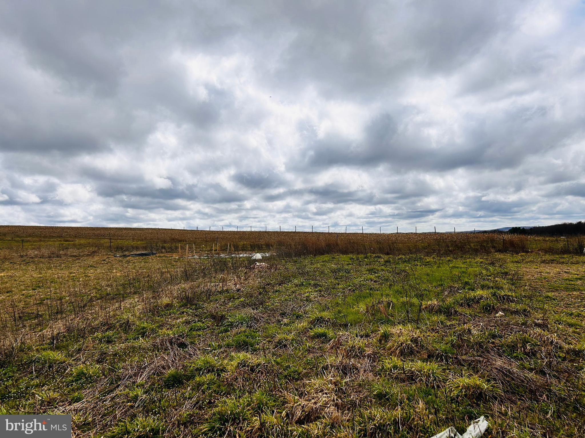 2192 Richard Road Irvona, PA 16656 - Photo 5 of 31