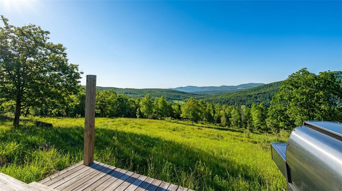 10.10 Cheese Hill Road Preston Hollow, NY 12469 - Photo 15 of 46