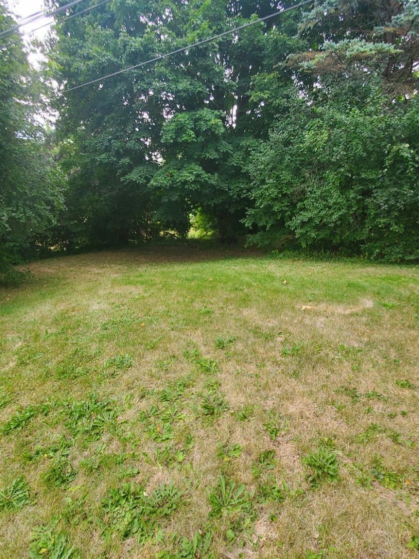 1486 Winter Drive Freeport, IL 61032 - Photo 7 of 20 a view of a yard with a trees