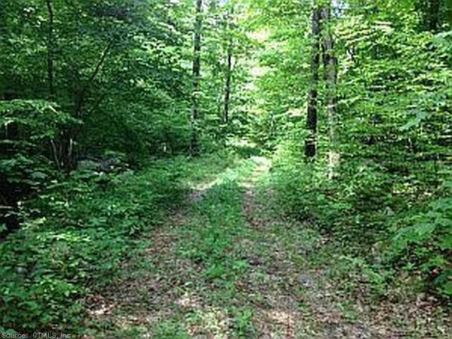 0 Caray Hill Road Sharon, CT 06069 - Photo 1 of 1 a view of a lush green forest