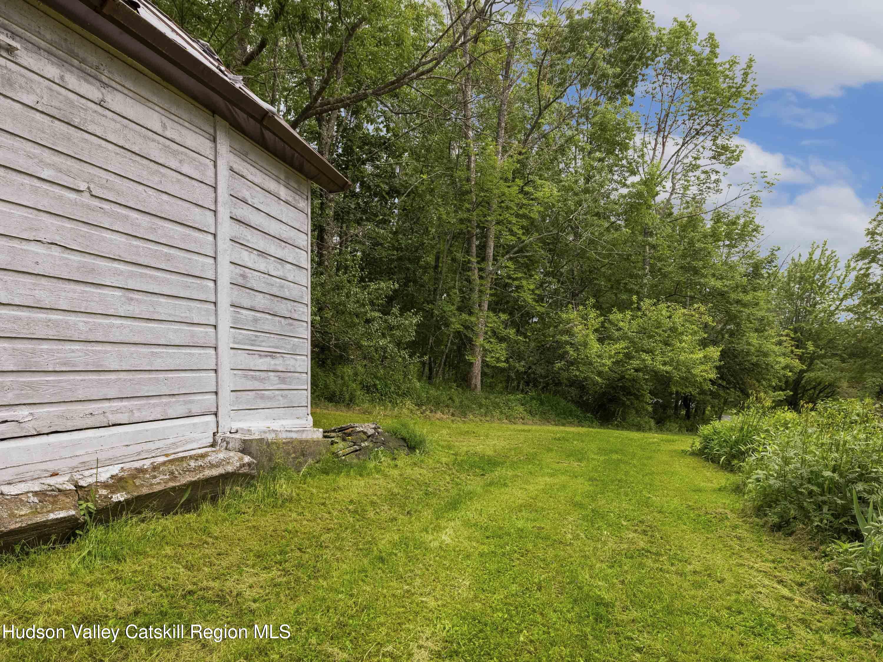 324 Schrader Road Ashland, NY 12468 - Photo 35 of 49 a view of backyard with plants and large tree
