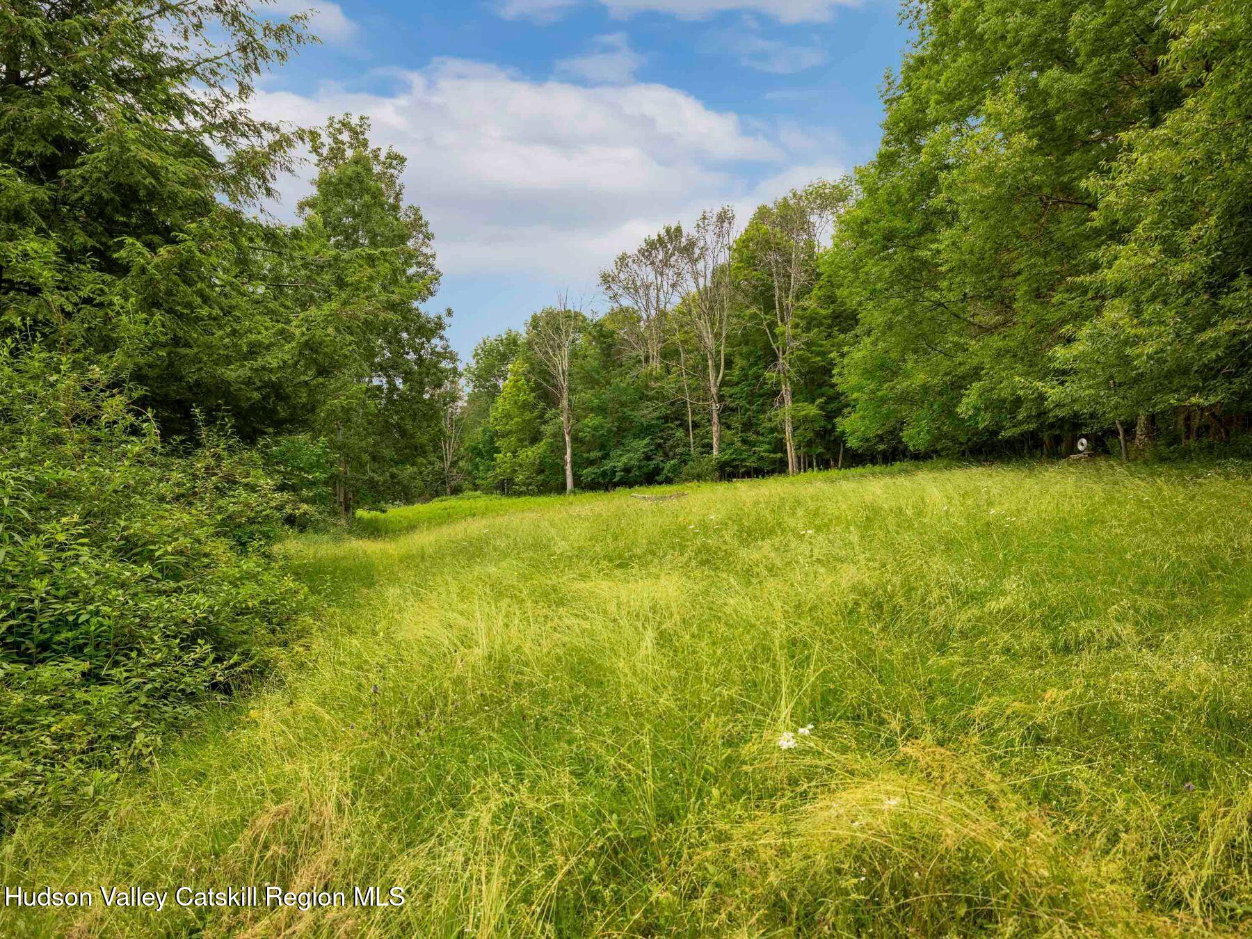 324 Schrader Road Ashland, NY 12468 - Photo 36 of 49 a view of yard with swimming pool and green space