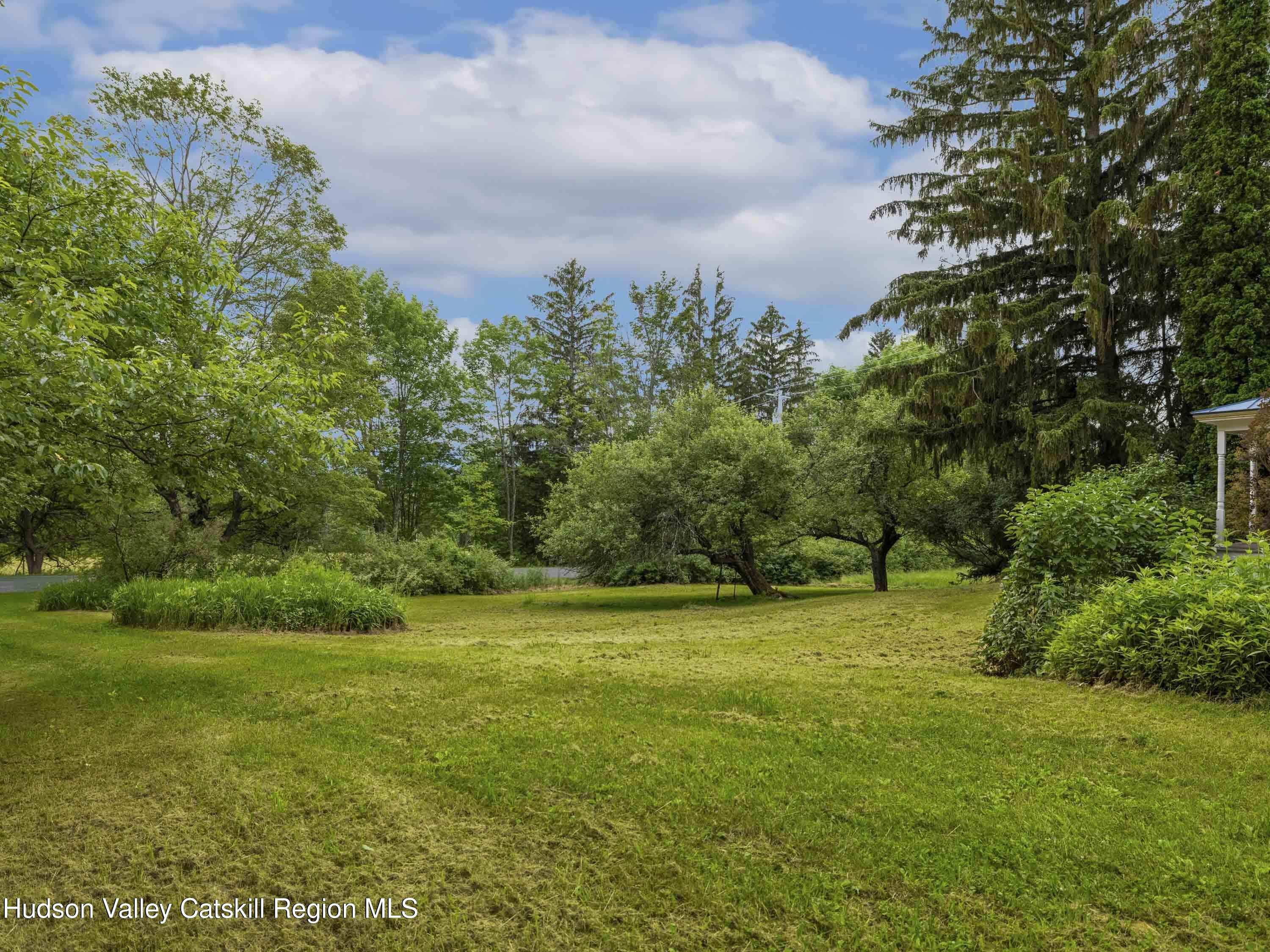 324 Schrader Road Ashland, NY 12468 - Photo 45 of 49 a view of a grassy field with trees in the background