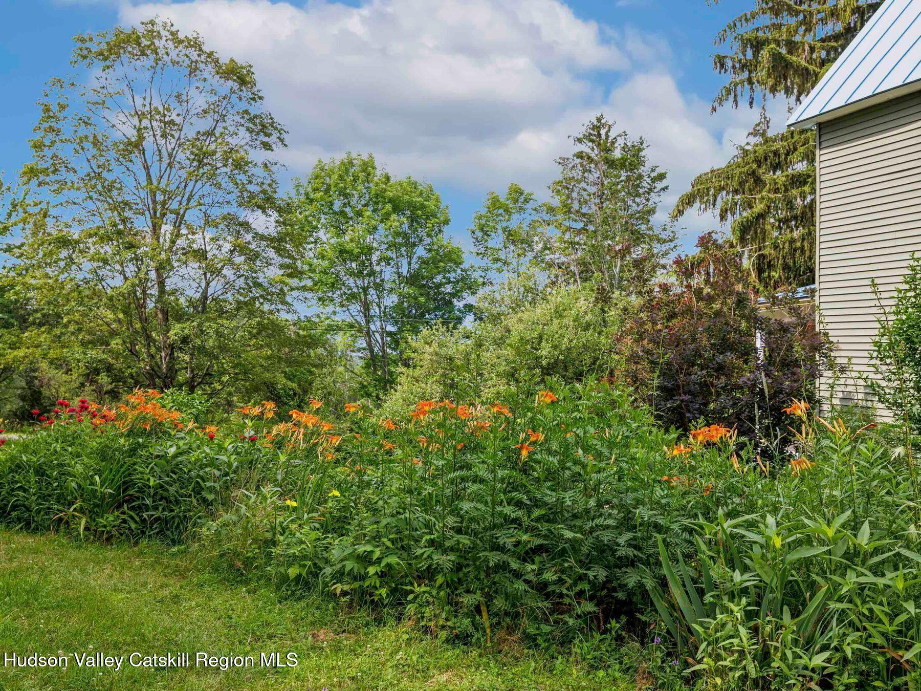 324 Schrader Road Ashland, NY 12468 - Photo 46 of 49 a close up of a plant in a garden
