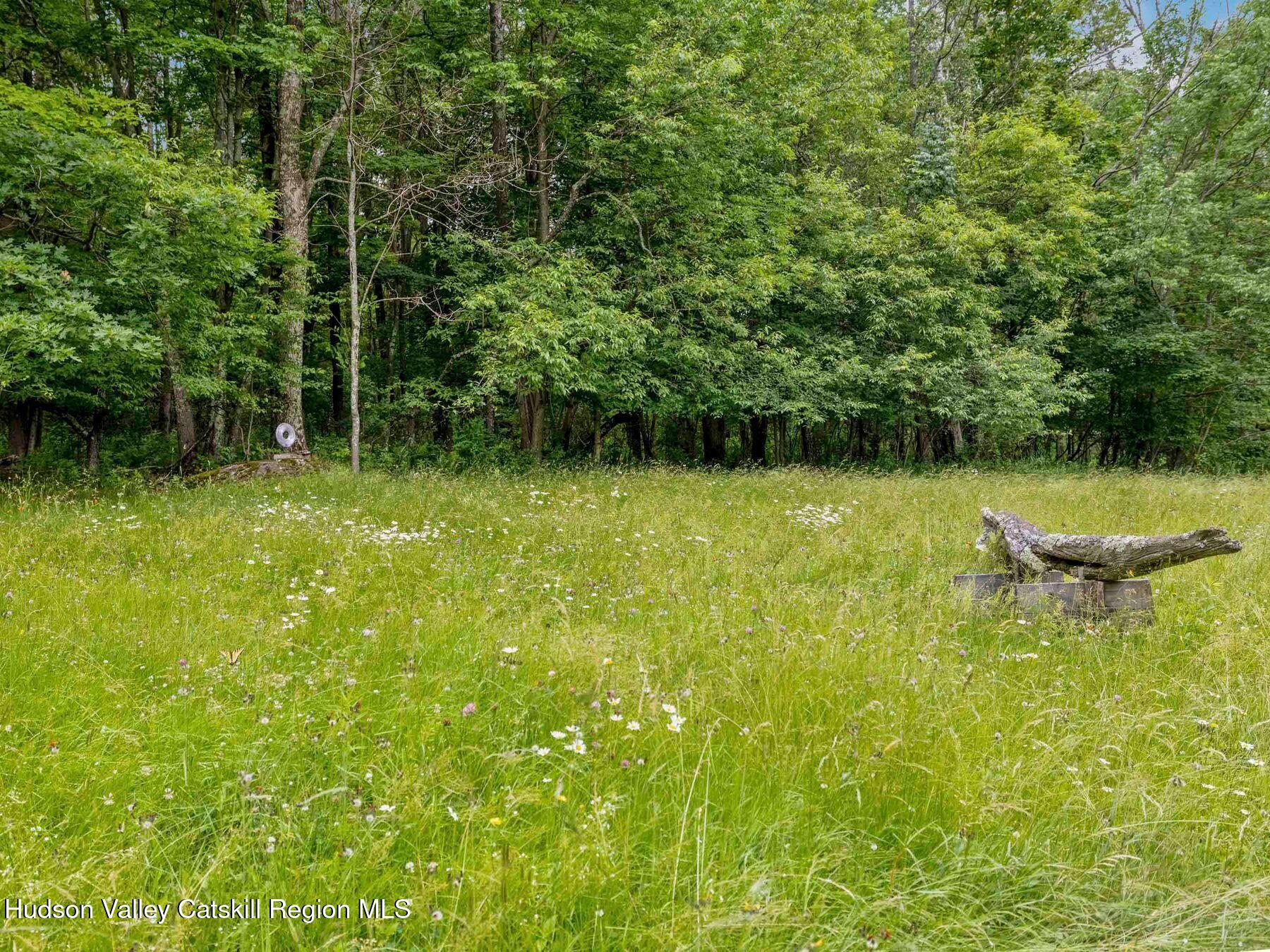 324 Schrader Road Ashland, NY 12468 - Photo 47 of 49 a view of a lake view